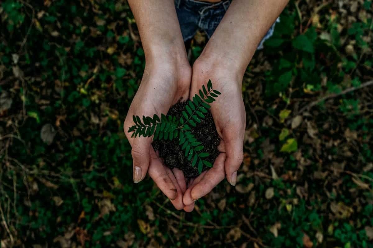 Prendre soin de la Planete